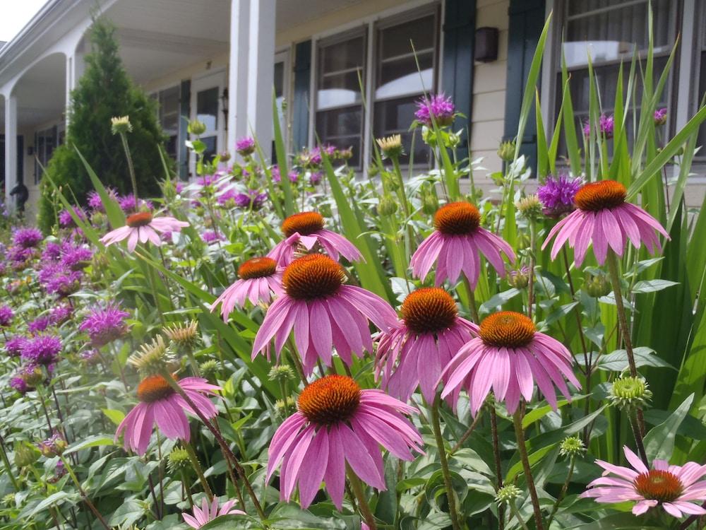 Glass House Inn Erie Near I-90 & I-79 외부 사진