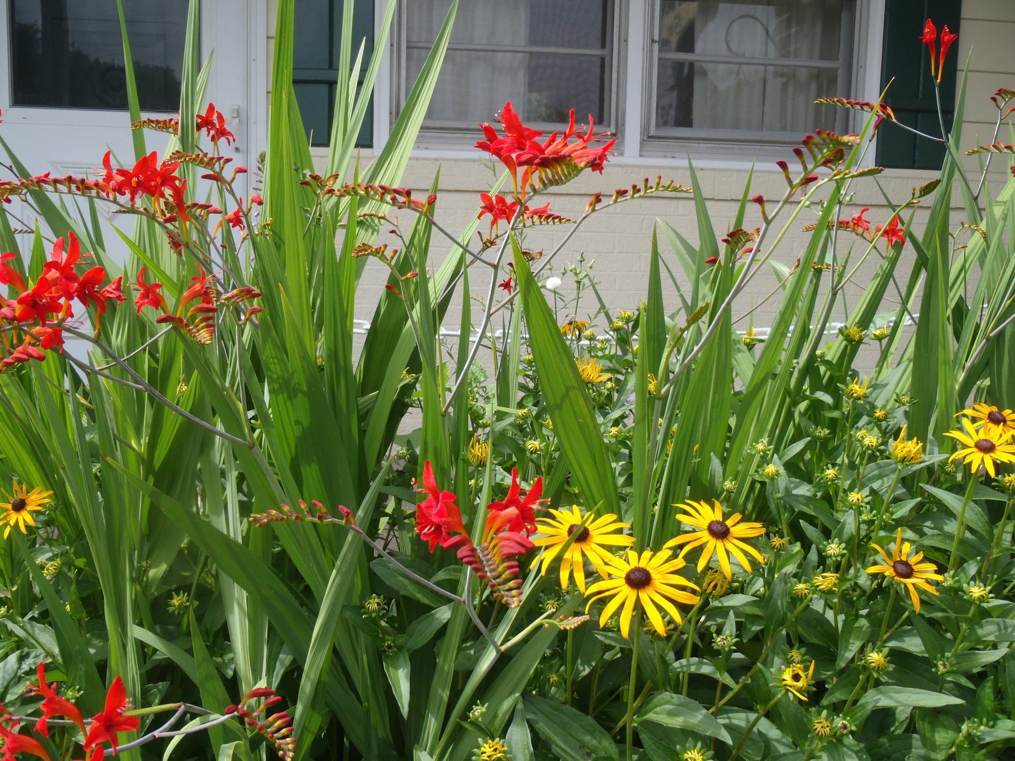 Glass House Inn Erie Near I-90 & I-79 외부 사진